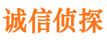 岳阳楼调查事务所